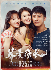 经典三级aaa